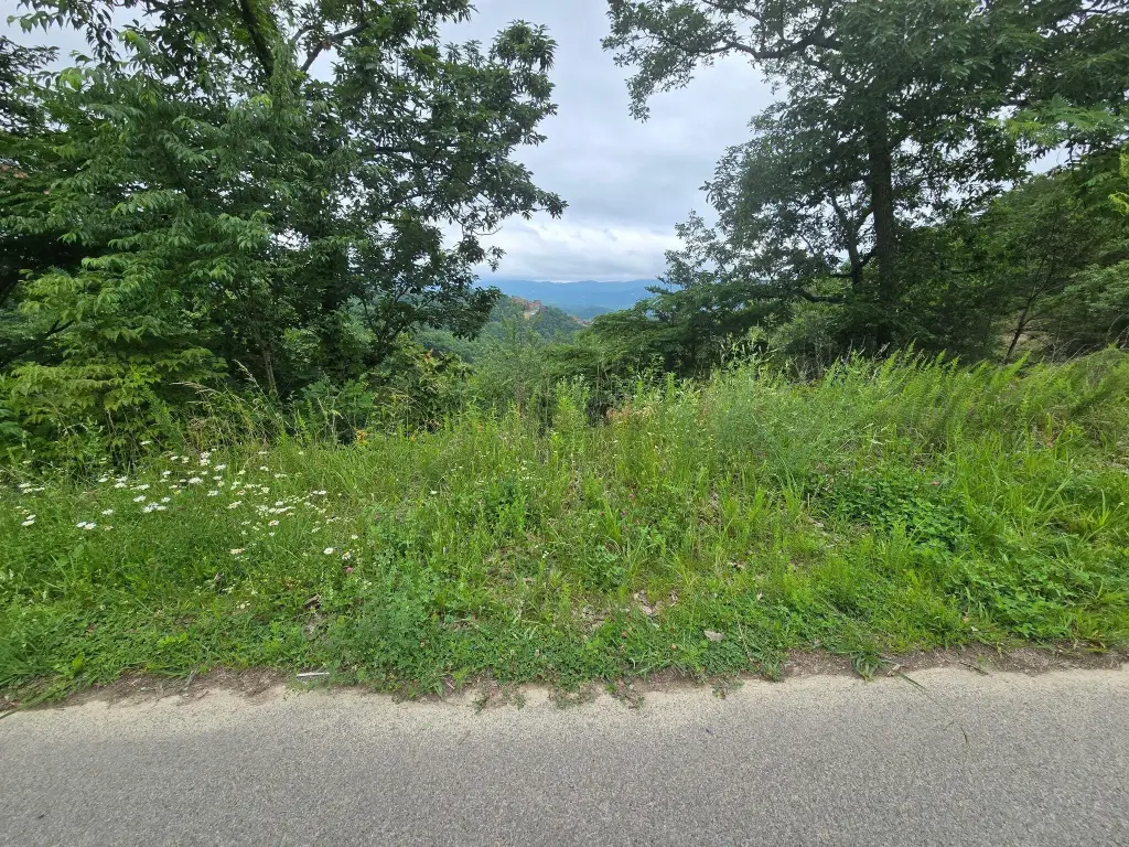 Picture 6