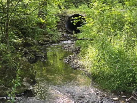 Residential Land with Cabin and Creek