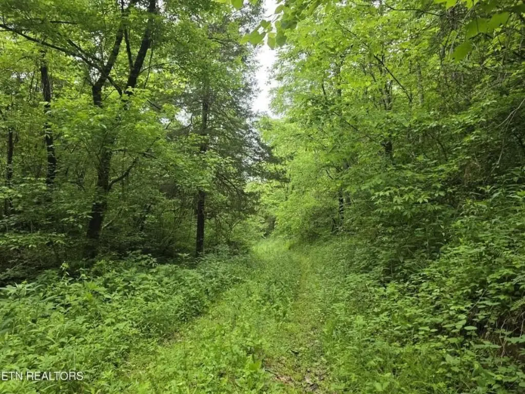 Picture 42