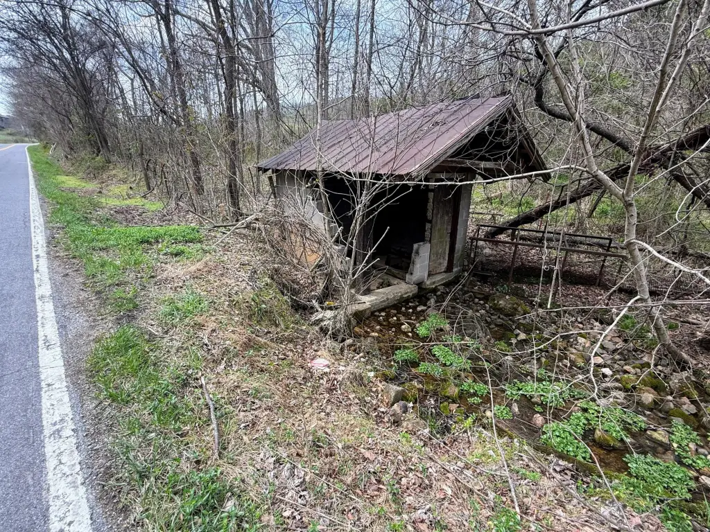 Picture 16