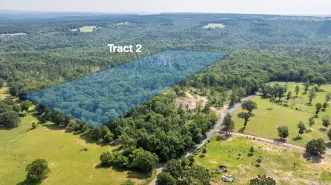 Clinton, AR Wooded Acreage