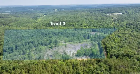 Clinton, AR Wooded Acreage