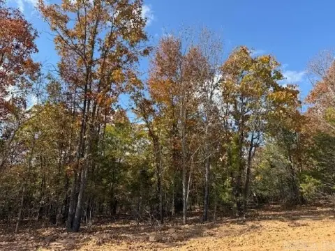 Residential Lot in Greenbrier, AR