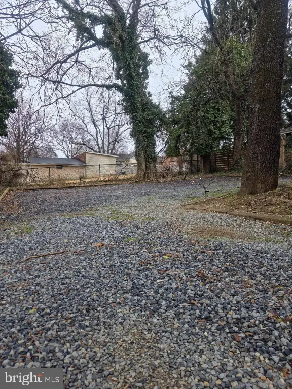 Picture 21