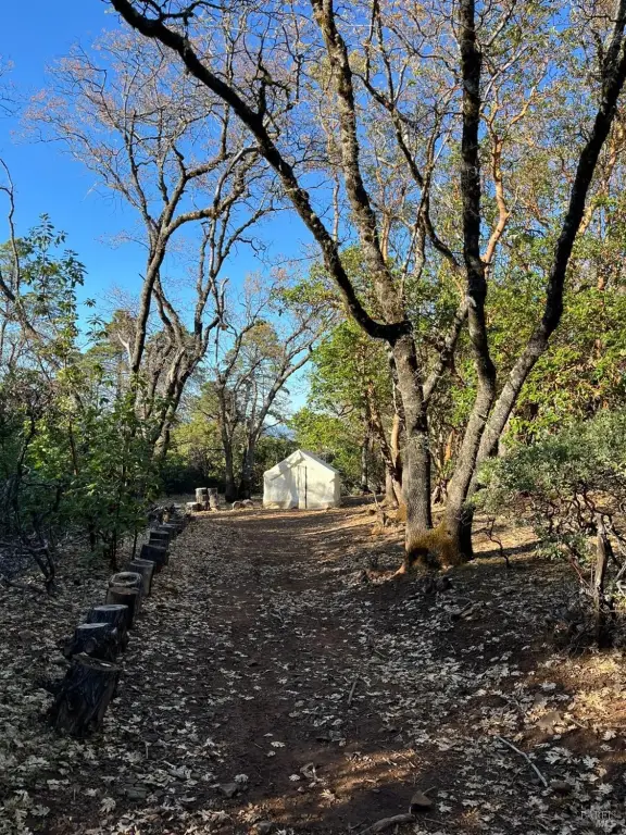 Picture 33
