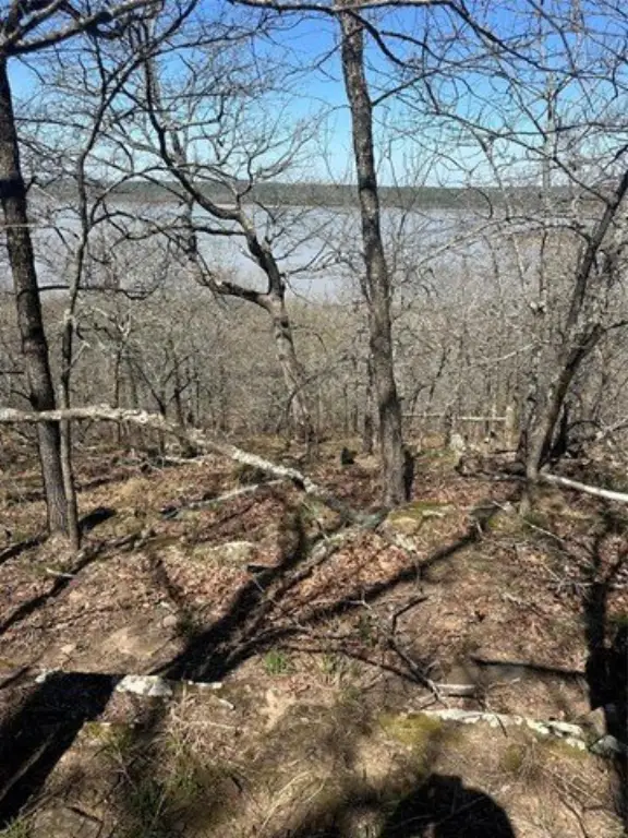 Picture 4