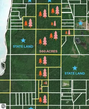 Sprawling Beaver Island Woodlands