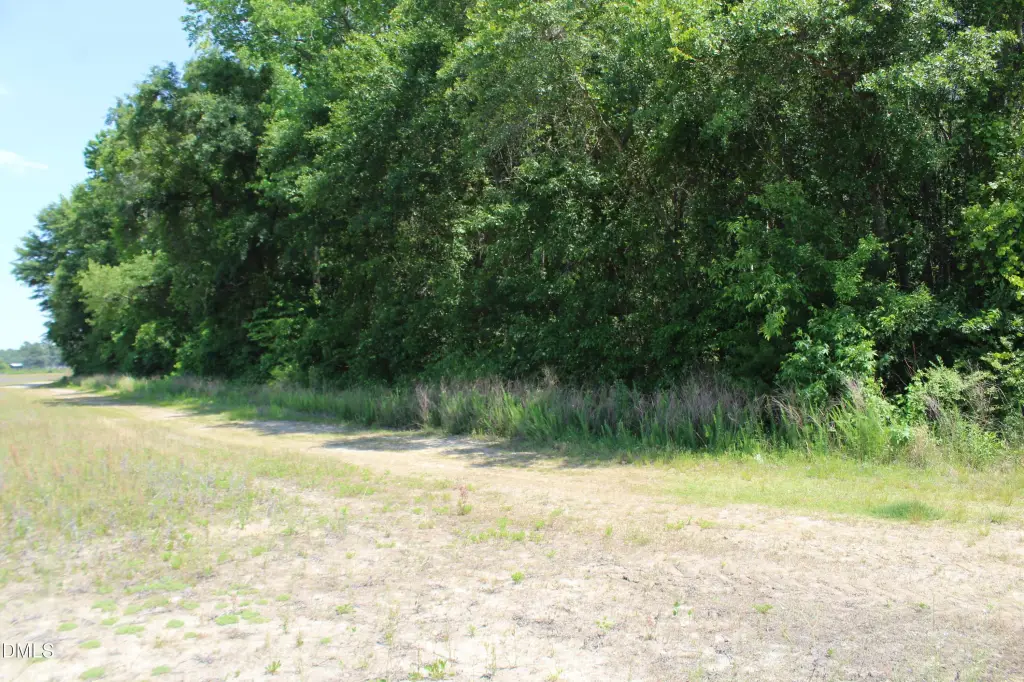 Picture 4