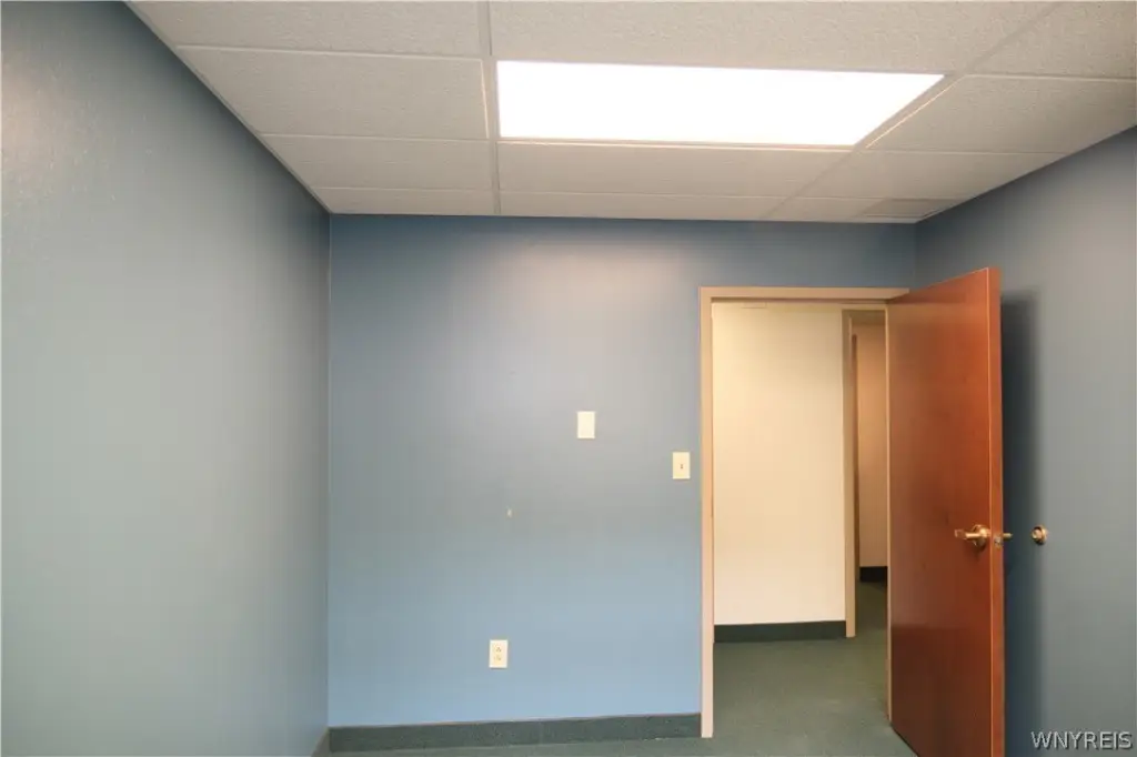 Picture 16