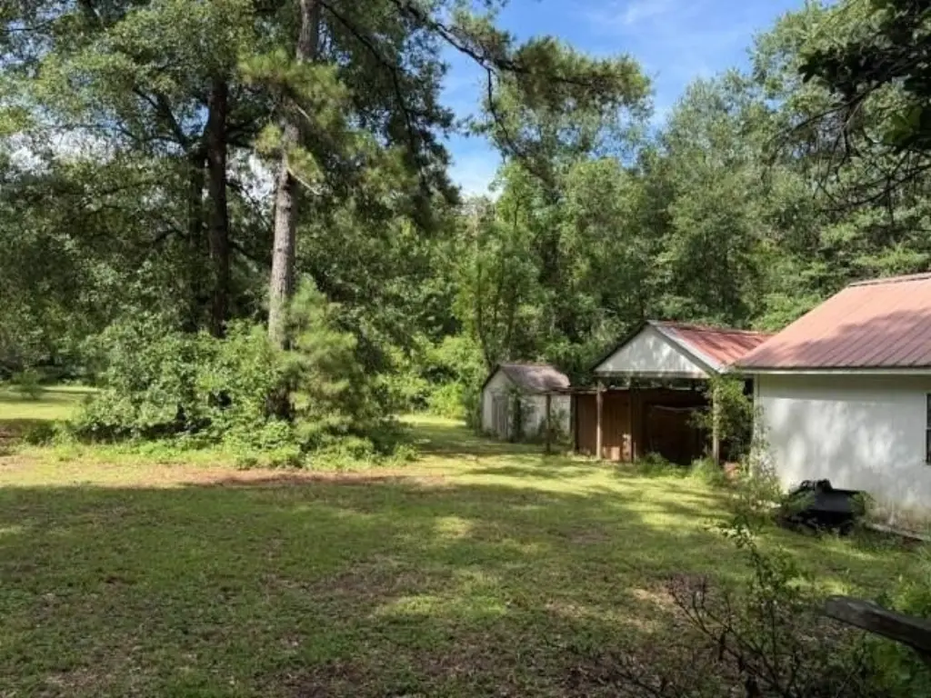 Picture 20