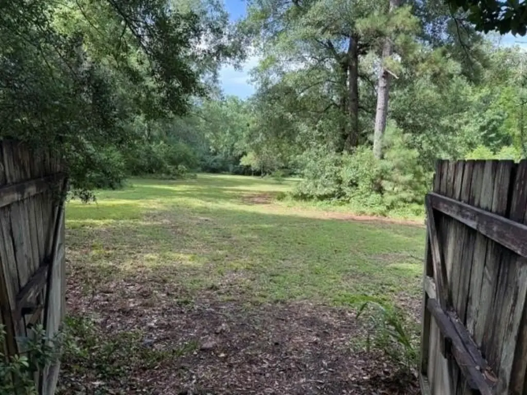 Picture 18