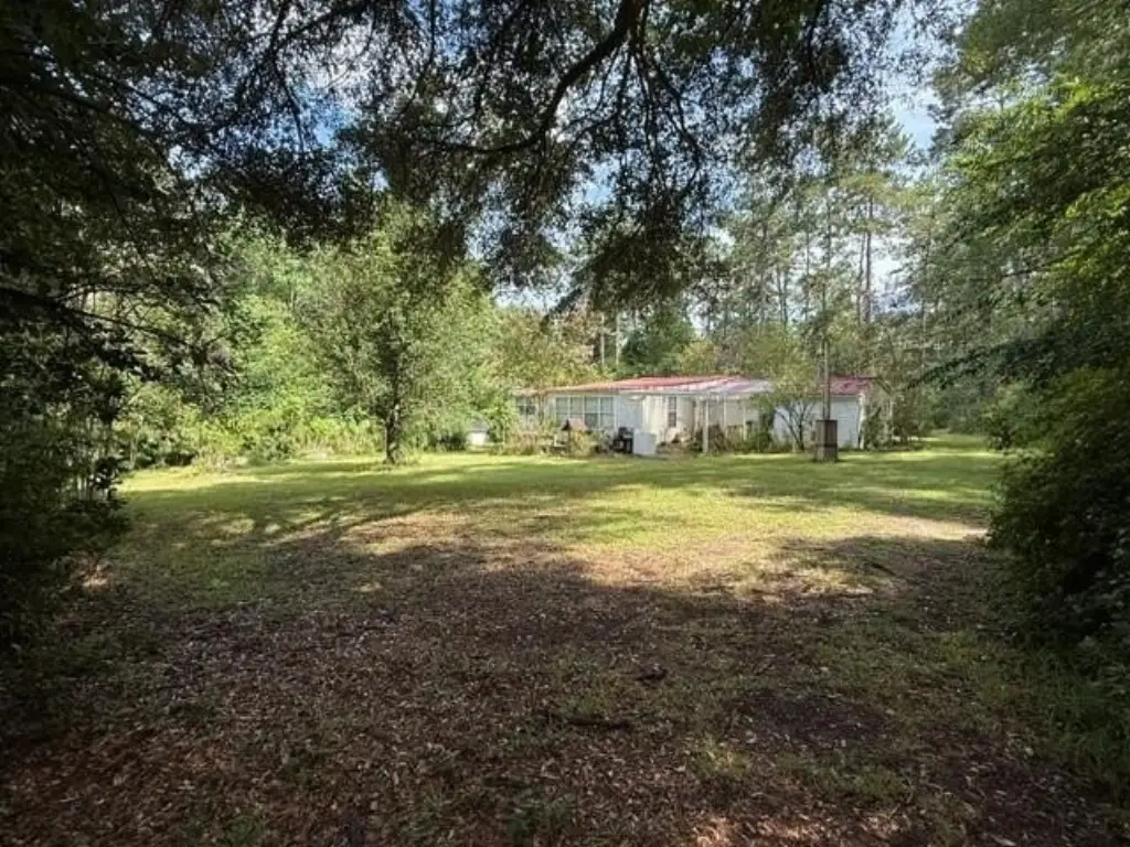 Picture 8