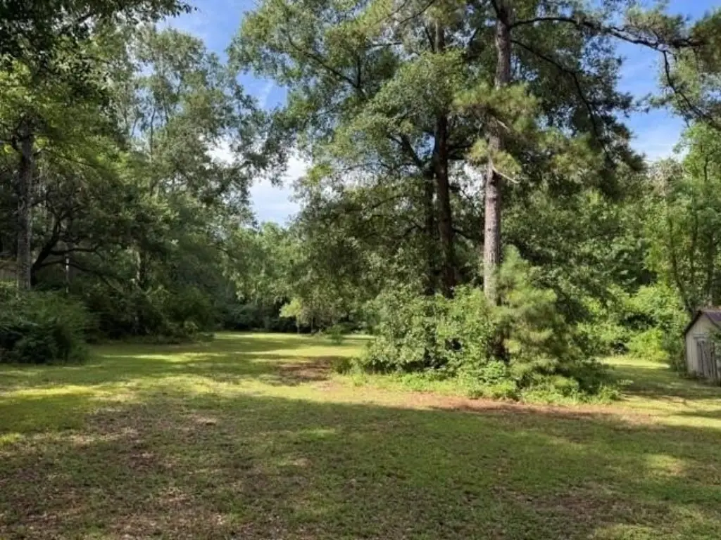 Picture 23