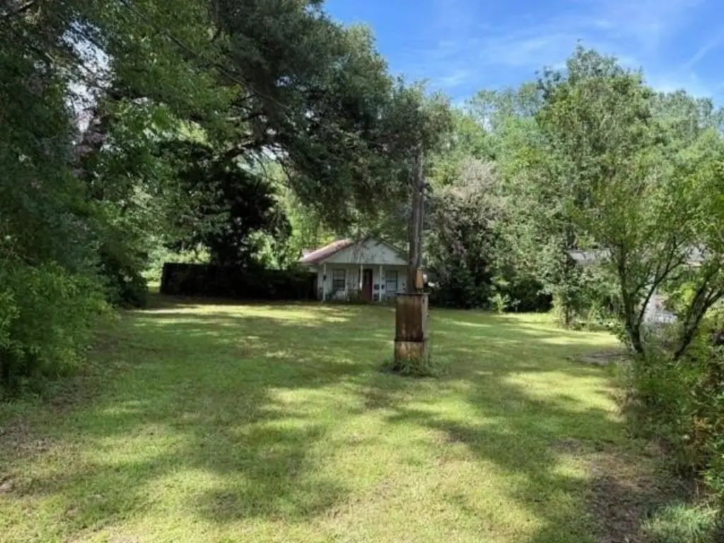 Picture 11