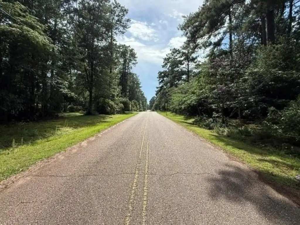 Picture 4