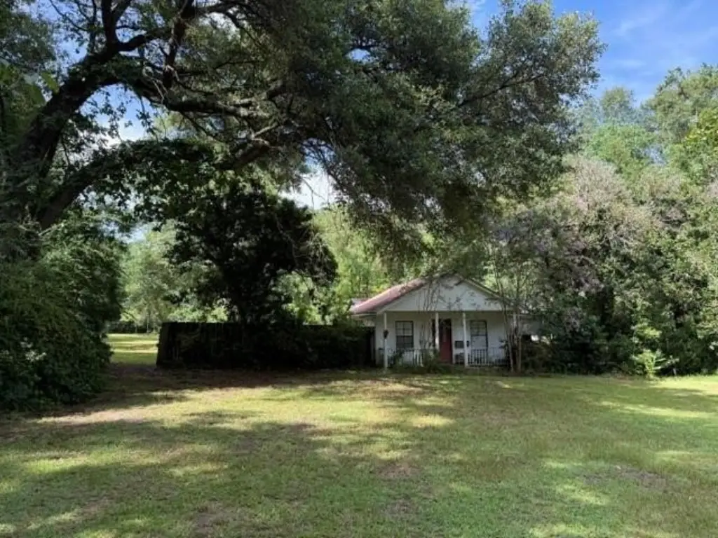 Picture 12