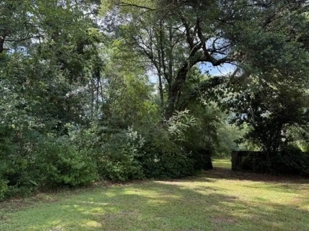 Picture 16