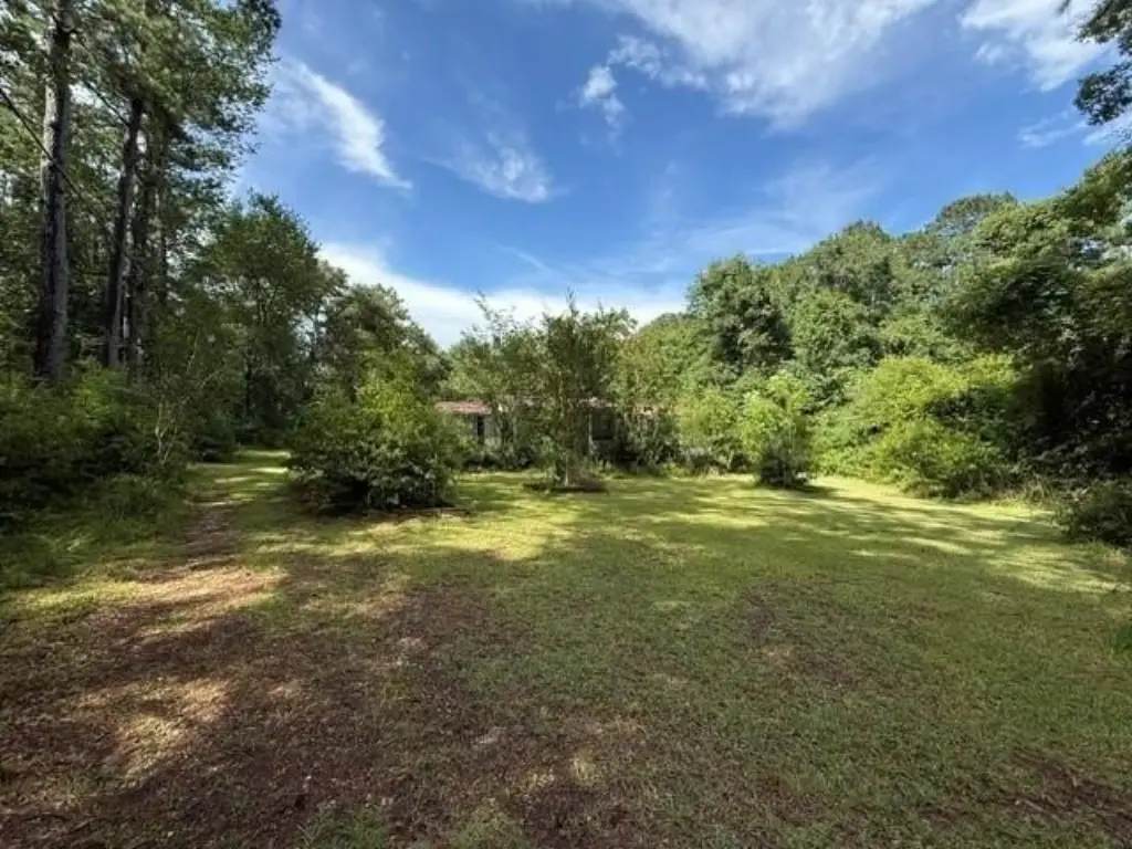 Picture 7