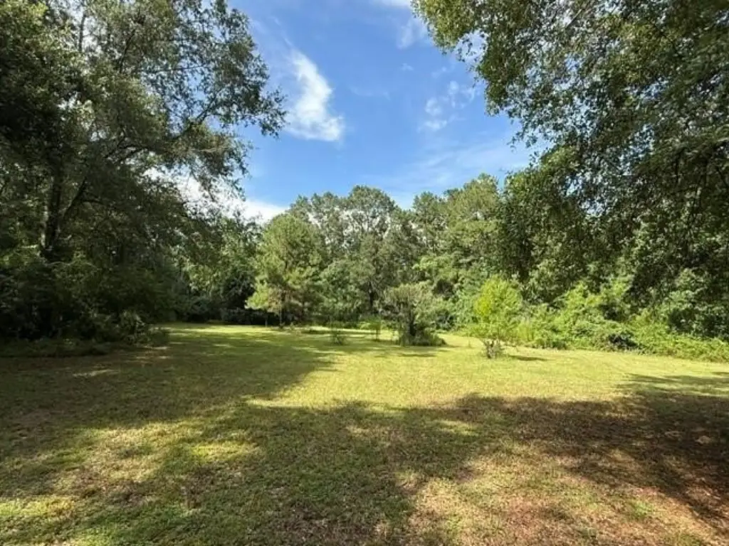 Picture 26