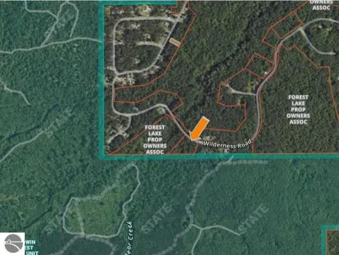 Land Near Forest Lake