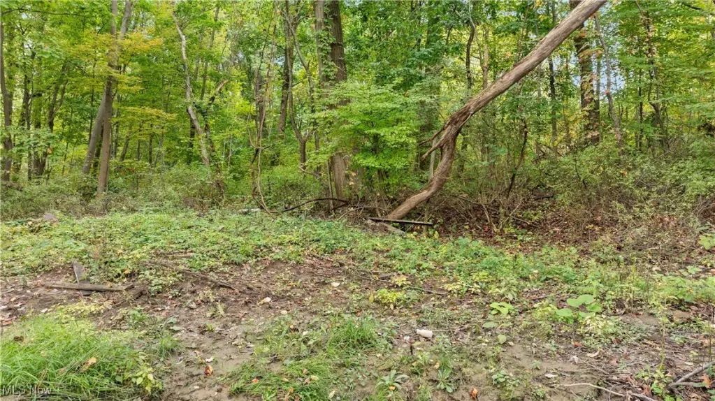 Picture 12