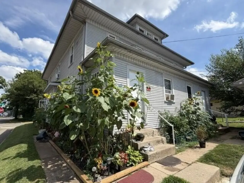 Picture 4