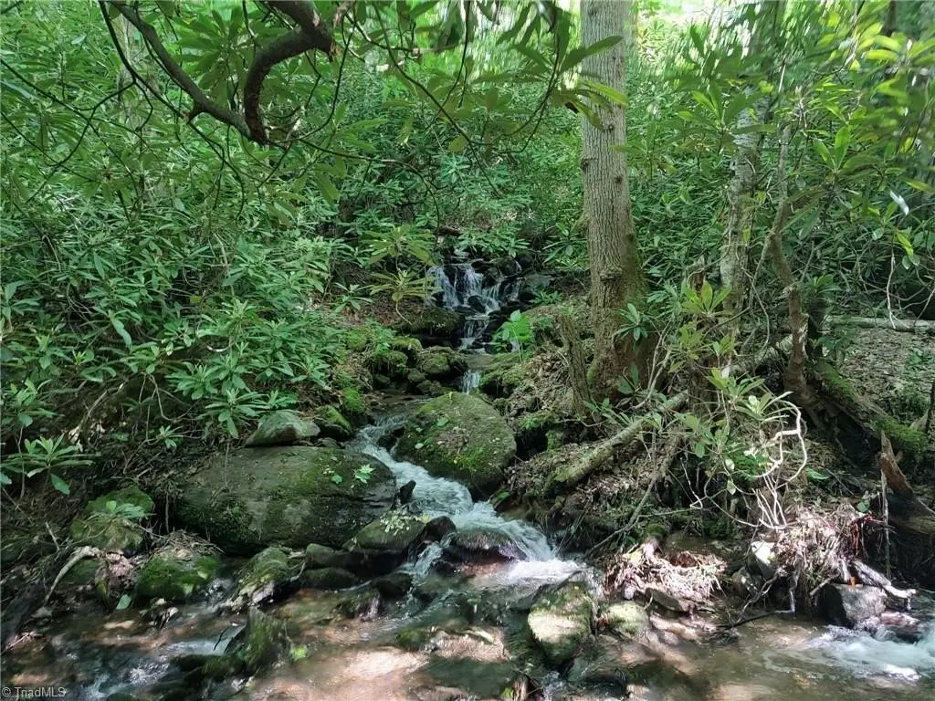 Picture 27