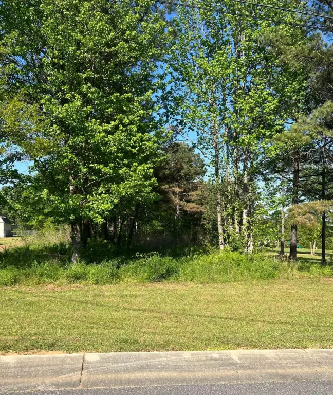 Picture 2