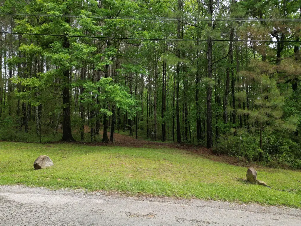 Picture 15