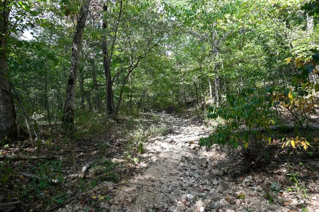 Picture 28