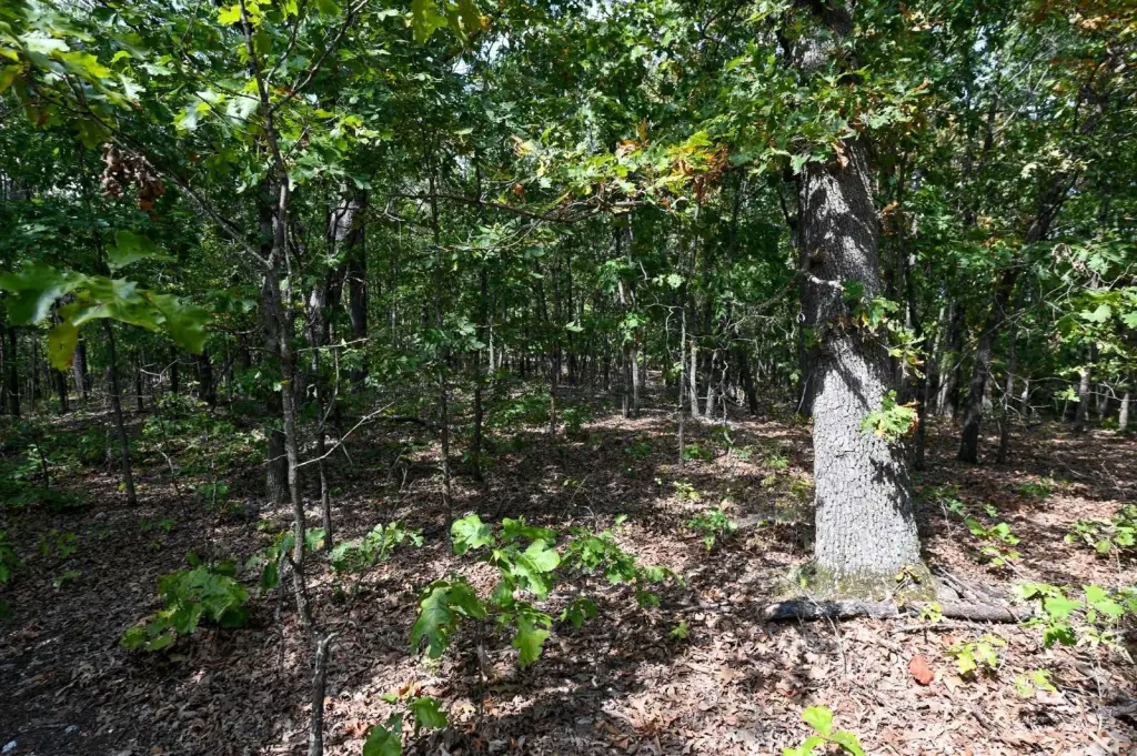 Picture 30