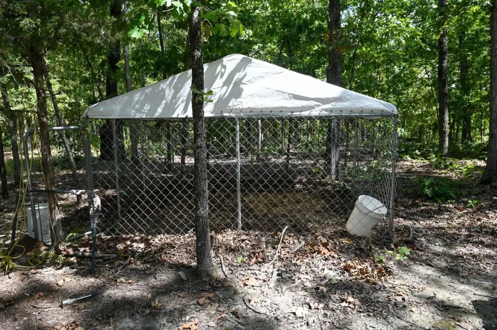 Picture 14