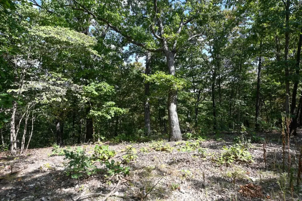 Picture 31