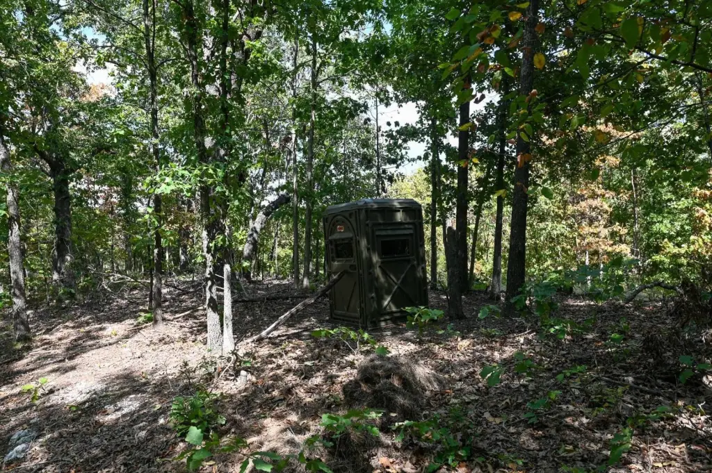Picture 27