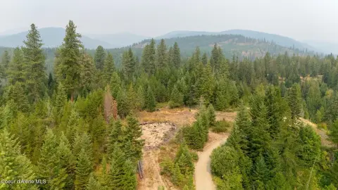 Mountain Hunting Land with Timber