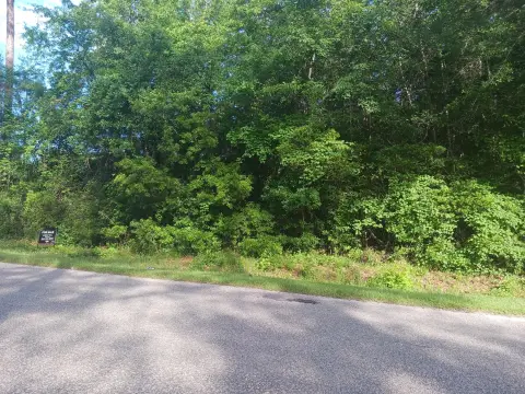 Residential Land in Walterboro, SC