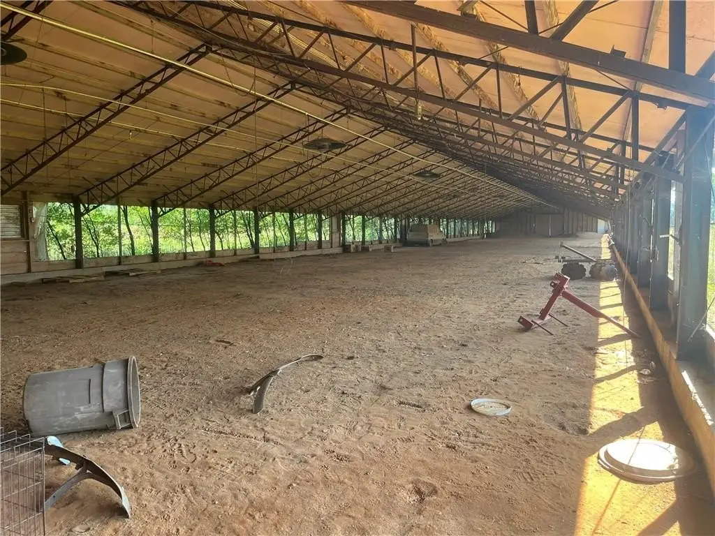 Picture 9