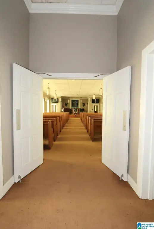Picture 8