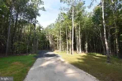 Drayden Wooded Land For Sale