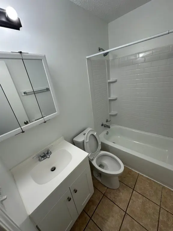 Picture 21