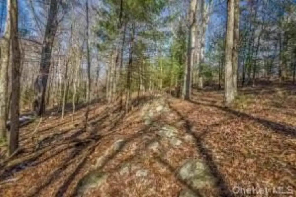 Picture 9