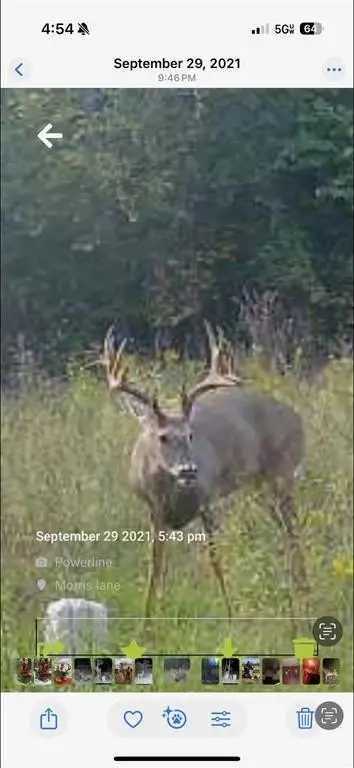 Picture 30
