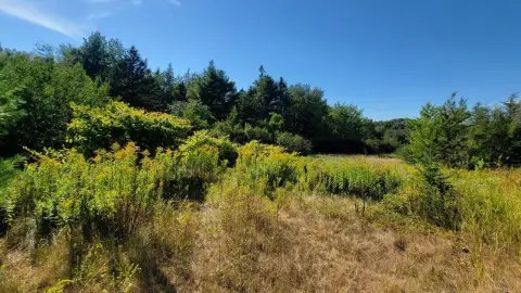 Versatile 18-Acre Lot