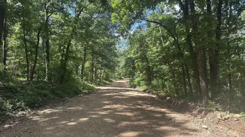 34 Acres Timber Hunting Land