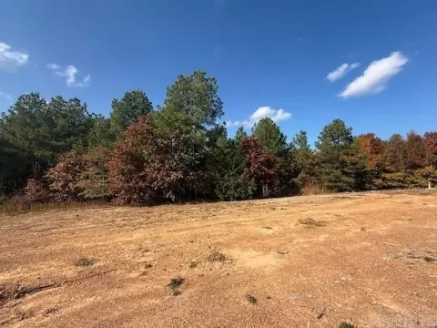 Residential Lot in Greenbrier, AR