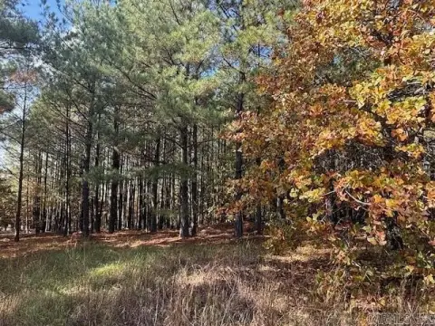 Residential Lot in Greenbrier, AR