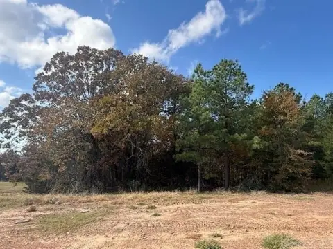 Residential Lot in Greenbrier, AR