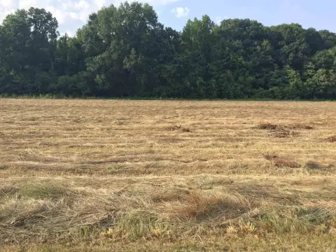 Residential Lot Near Mound Lake