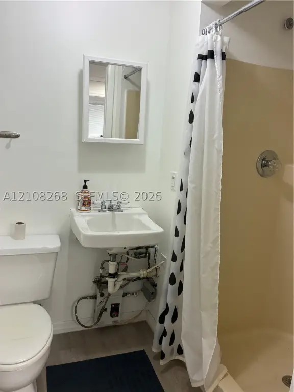 Picture 5