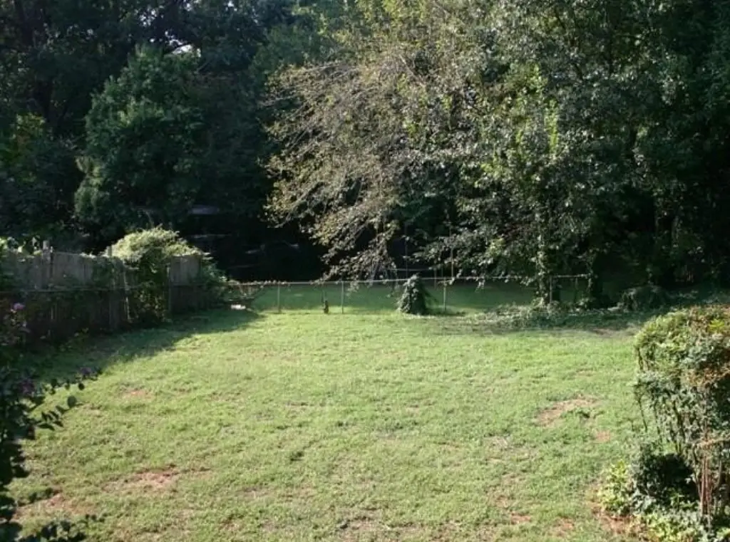 Picture 3